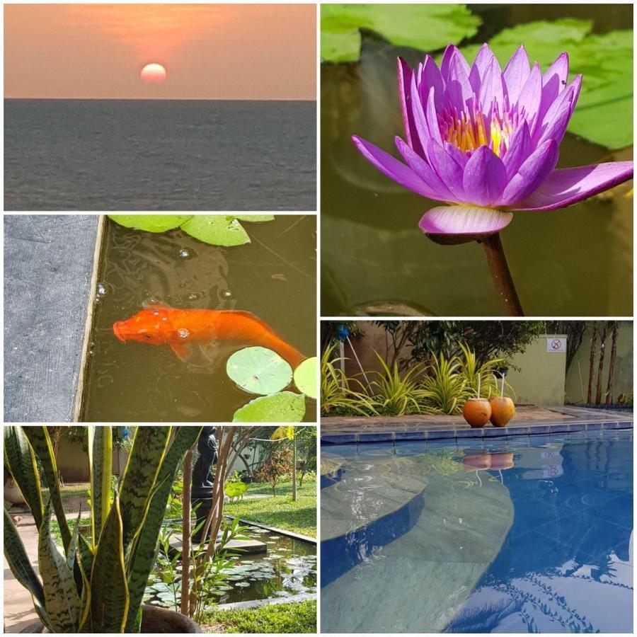Solomon Beach Hotel Marawila Buitenkant foto